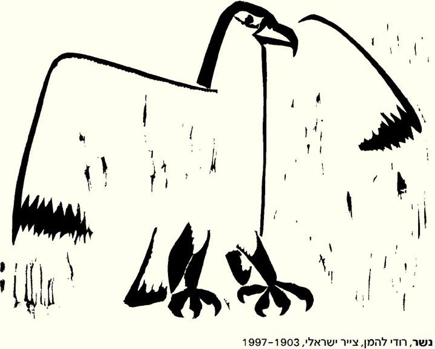 איור של נשר